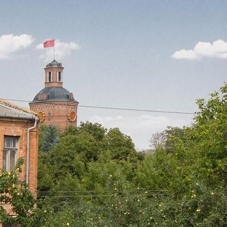 شقة Center Сozy فينيتسا المظهر الخارجي الصورة